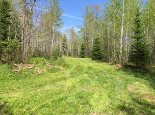 Nicolet National Forest, Laona, WI 54511