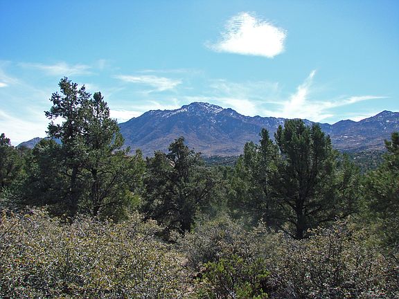 2nd image of 4615 W Murphys Station Cir Lot 64