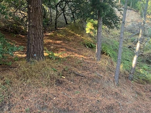 4th image of 6825 Saroni Dr