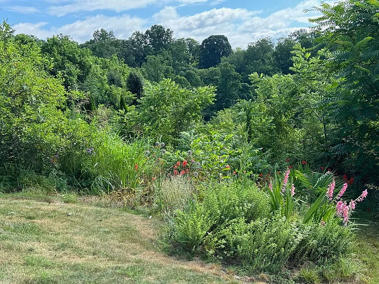 319 Hi Alta Ave — Photo 32