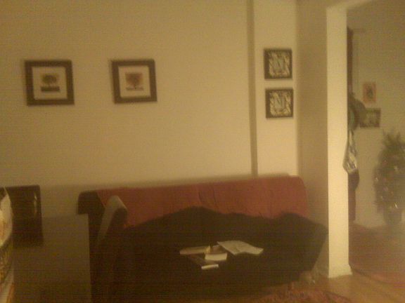 3rd image of 1626 W Farwell Ave APT 3E