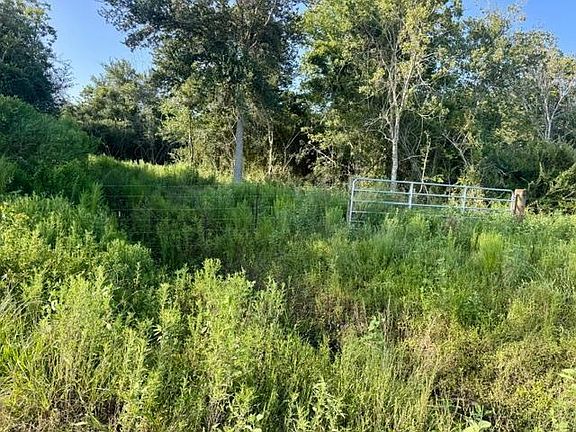 5th image of 0 E Fm 1462 Rd