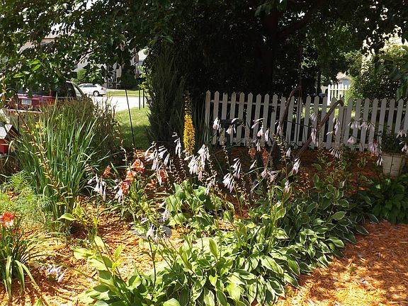 Beautiful Perennial gardens