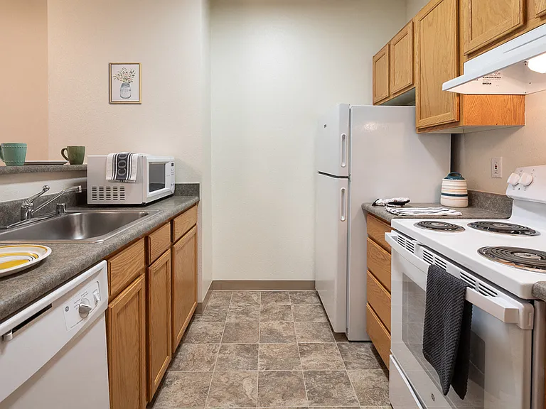 Dishwasher, Electric Stove and Range, Microwave and Refrigerator Appliances