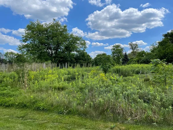 LOT 6 N Owl Ct, Barrington, IL 60010
