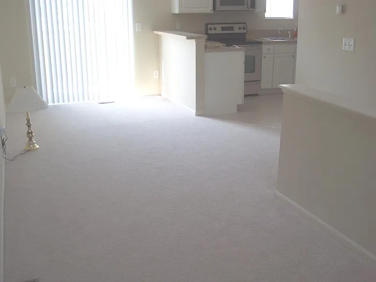 Living room/dining room