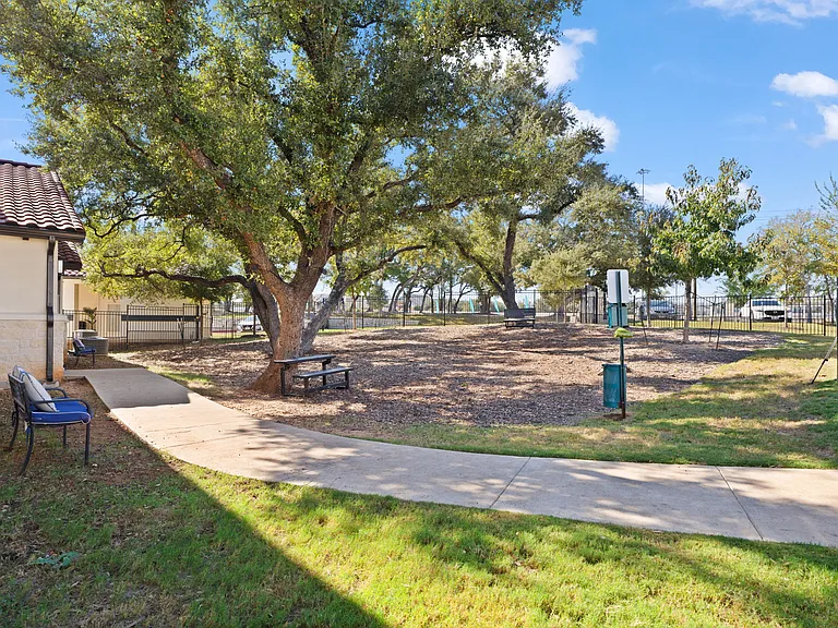 Water Oak — Photo 91