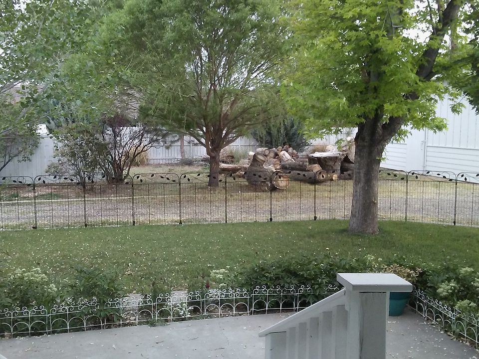 The back yard