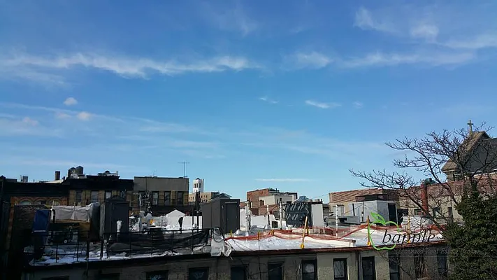 Rented by Bapple | media 30