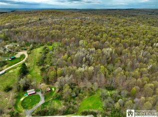 5857 Bloye Rd #6, Franklinville, NY 14737