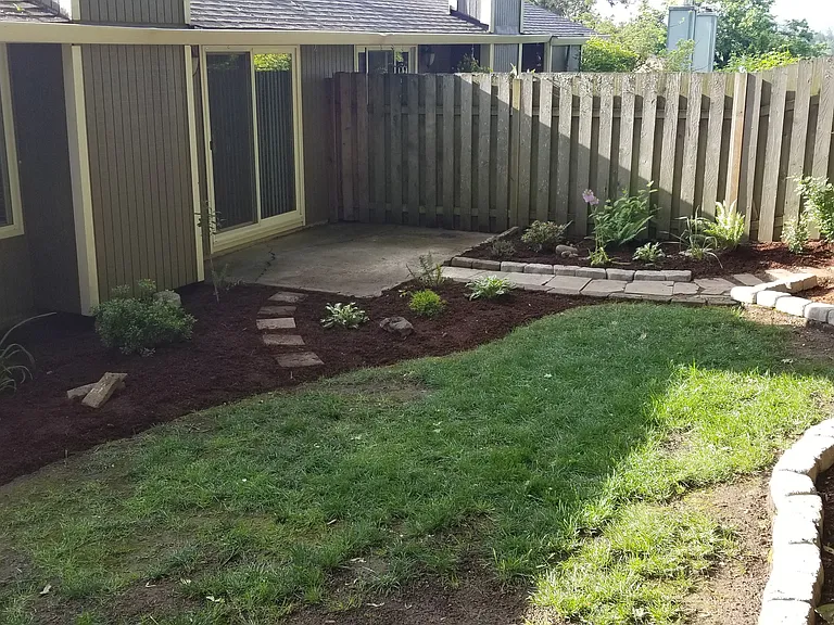 Back yard