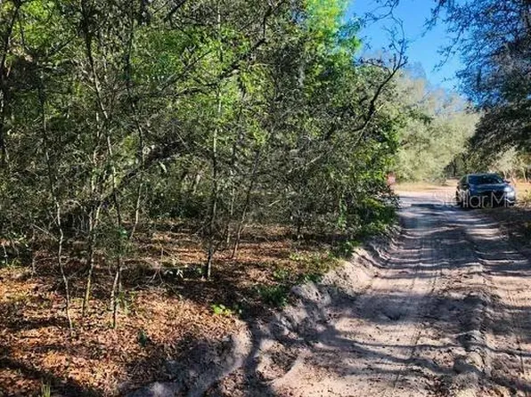 Oakridge Dr, Lady Lake, FL 32159
