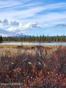 49696 S Millennium Loop, Sutton, AK, 99674