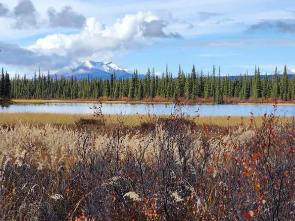 49696 S Millennium Loop, Sutton, AK 99674