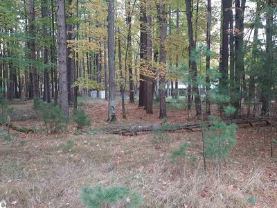 0 W Tawas Lake Rd, East Tawas, MI, 48730