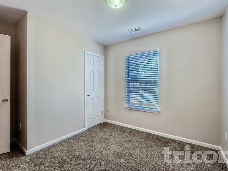 1115 Hannah Rae Ct — Photo 11