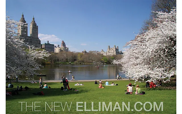 Sold by Douglas Elliman | media 9