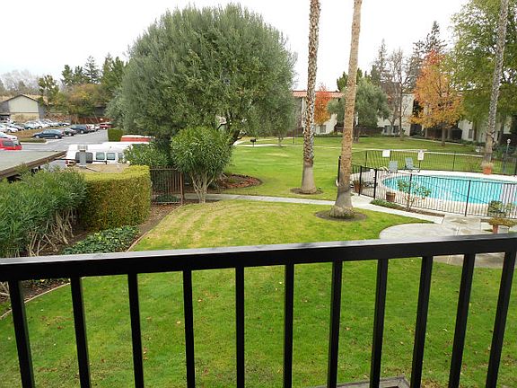 View from the patio