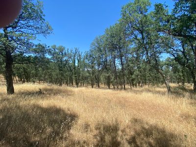 LOT 1 Quail Ridge Rd, Cottonwood, CA, 96022