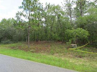 1315 N Mediterranean Way, Inverness, FL 34453