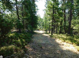 23362 Coffill Rd, Twain Harte, CA 95383