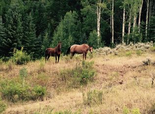 8001 Gypsum Creek Rd. #000, Gypsum, CO 81637