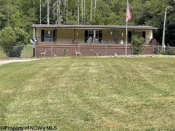 4391 Webster Pike, Grafton, WV 26354