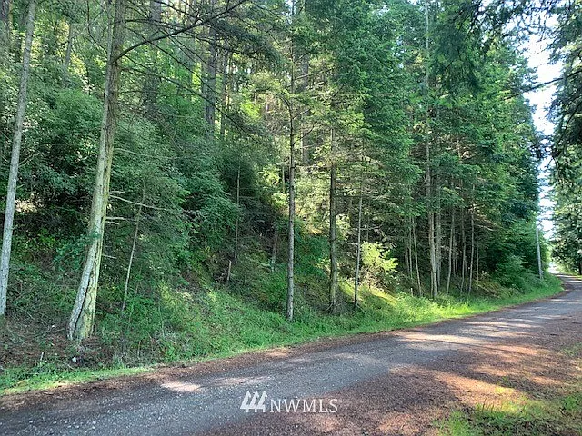 223 Pavey Boulevard photo 1