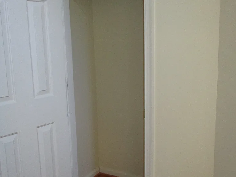 Entrance Closet