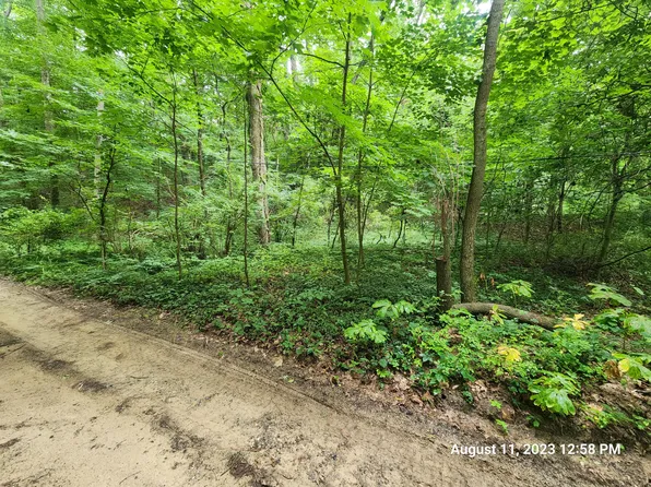 Pine St, South Haven, MI 49090