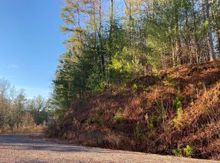 LOT 39 Jebs Ct, Ellijay, GA 30540
