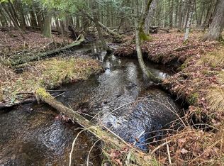 Arqullia Creek Rd, Harrietta, MI 49638