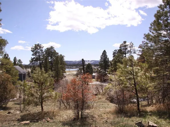344 Caddy Circle, Pagosa Springs, CO 81147