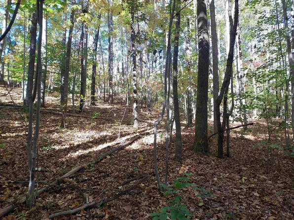 Blue Ridge Trl, Columbus, NC 28722