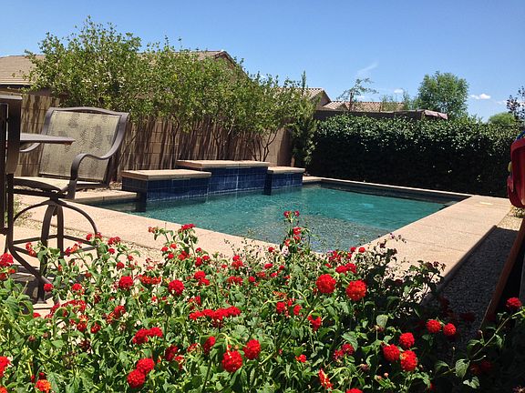 Landscaping on drip system