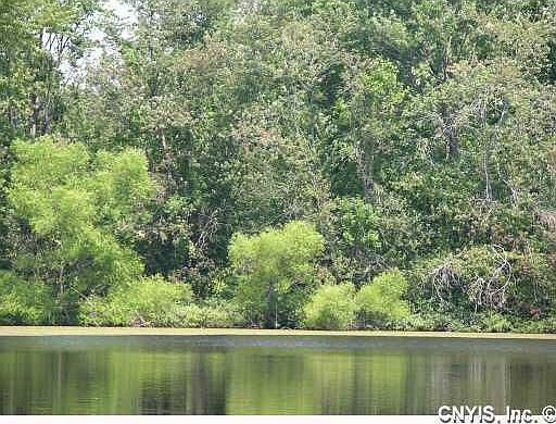Pristine, environmentally protected Crooked Lake. Swim, fish, kayak, canoe!!!