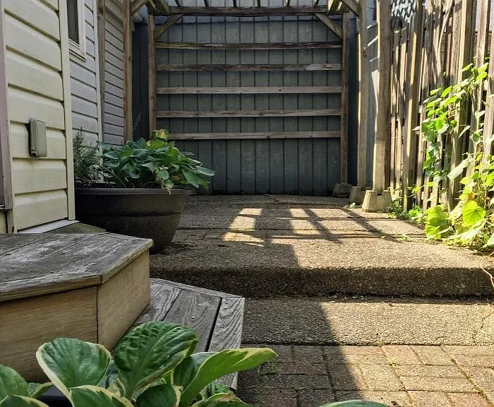 Back Patio