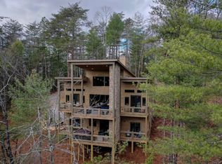 Mountain Laurel, Blue Ridge, GA 30513