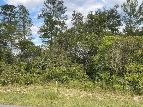 SW 35th Avenue Rd Lot 30, Ocala, FL 34473