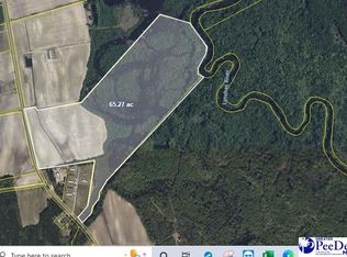 N Old Georgetown Rd, Coward, SC 29530