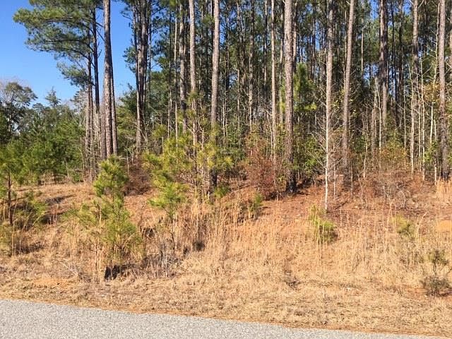 2nd image of 49 Ihagee Creek Cir