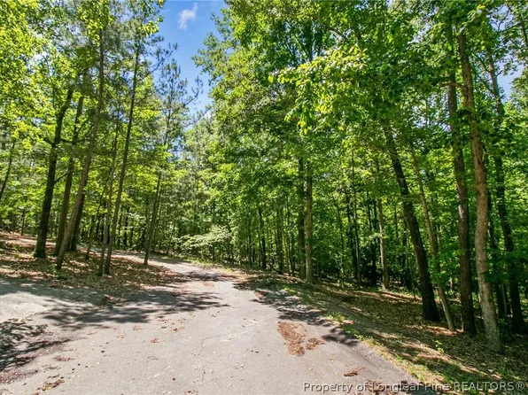 Buggy Dr W, Carthage, NC 28327