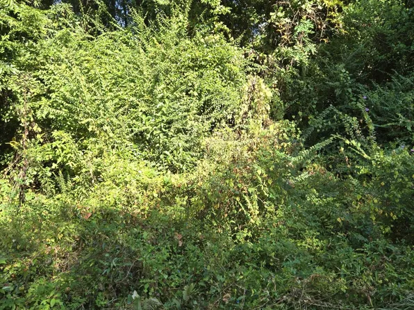 0 Anna St, Orangeburg, SC 29115