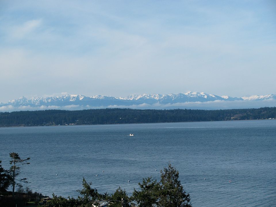 2nd image of 311 Roberts Way