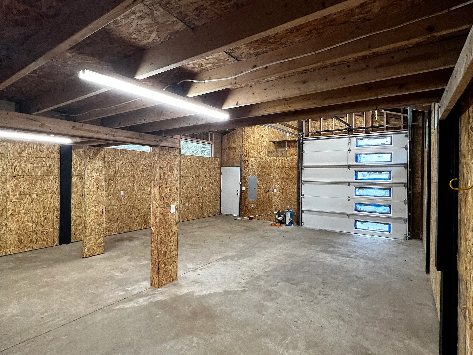 1 bed, 800 sqft, $1,695 — Photo 3