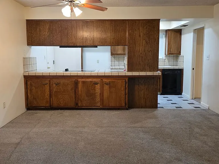 3824 Christmas Tree Ln — Photo 6