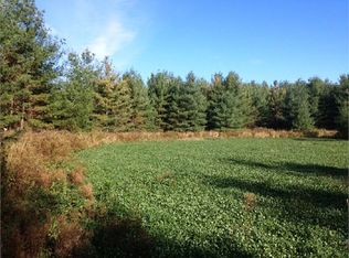 9669 Kelch Rd, Mayville, MI 48744