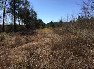 County Rd 44  - Shaw Property, Shellman, GA 39886