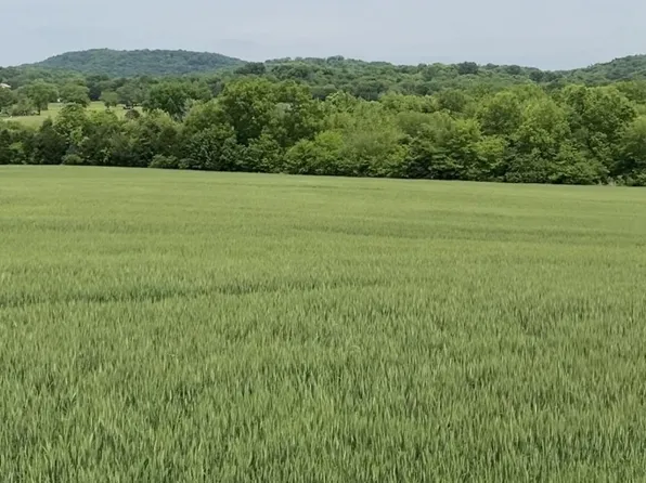513 Suzanne Way Lot 15, Bethpage, TN 37022