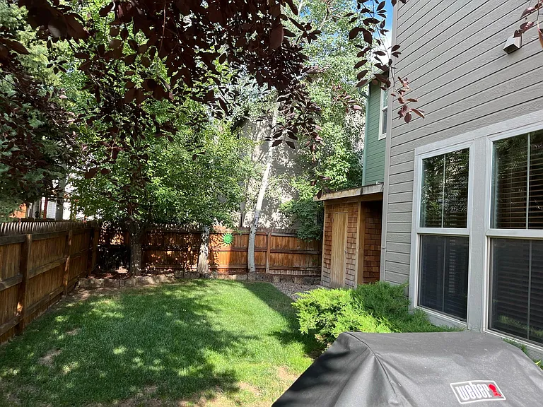 Fenced Backyard
